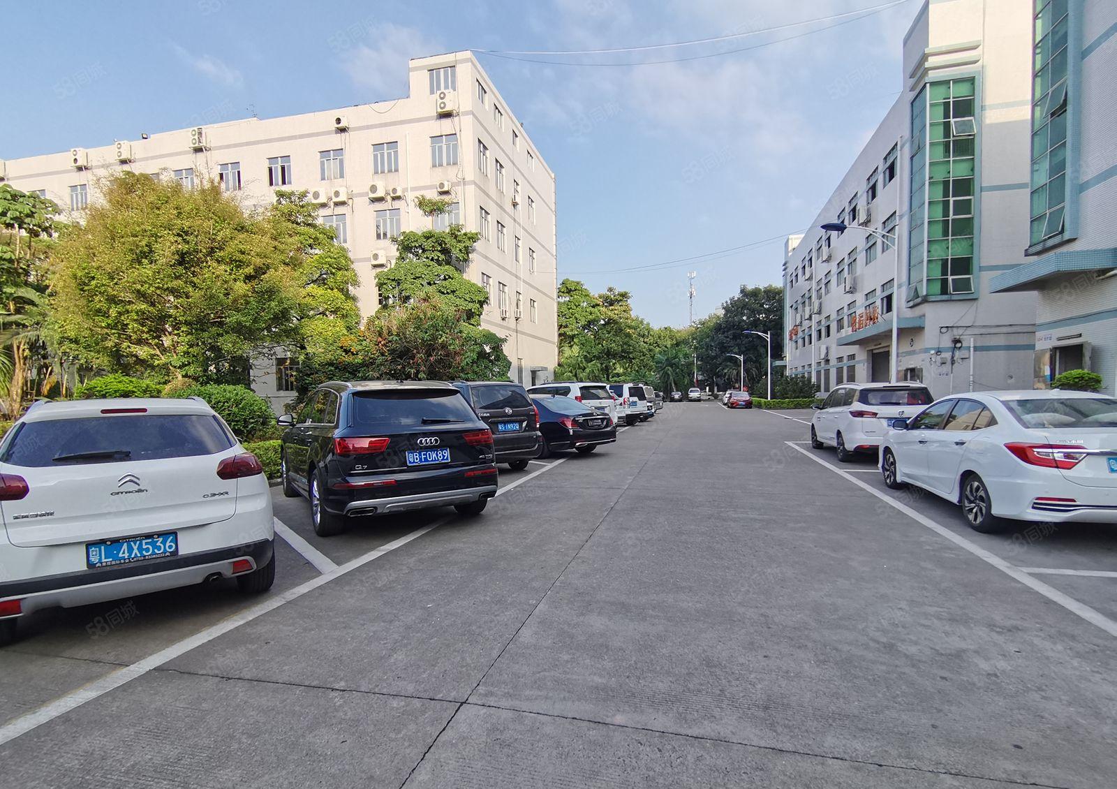 龙东爱南路独栋装修1000平厂房出租可做汽修展厅等行业可分租