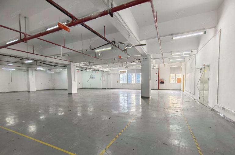 坂田厂房出租500平至3000平方精装修一楼电商物流仓库分租