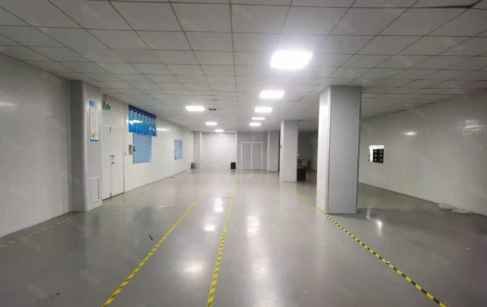 龙岗爱联嶂背新出原房东楼上精装修办公室厂房1000平出租