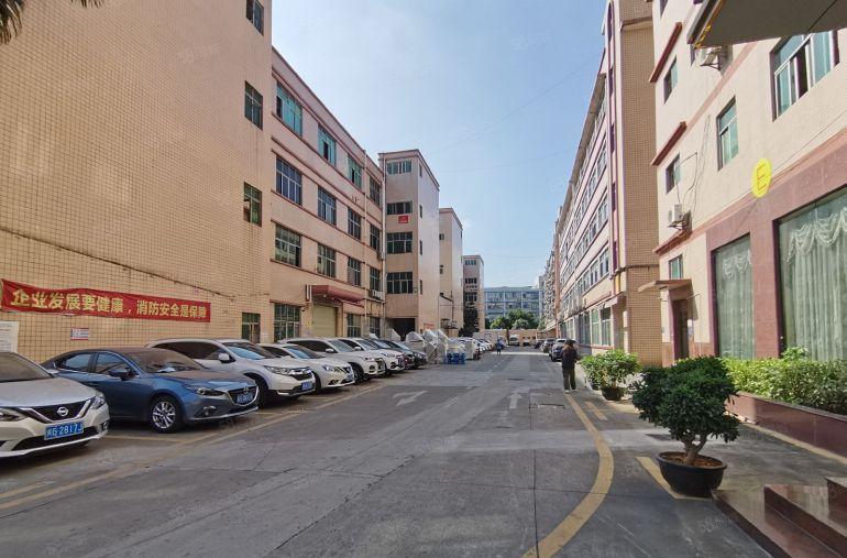 低价出租平湖辅城坳工业区8900平独院厂房仓库出租分租可环评