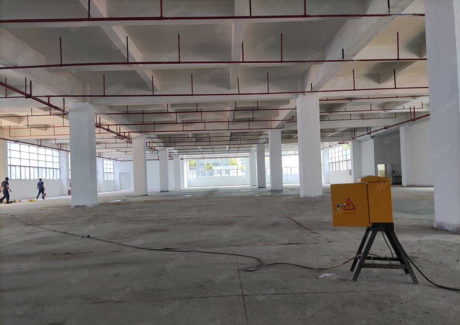 龙岗中心城原房东红本厂房仓库出租一楼2000平方