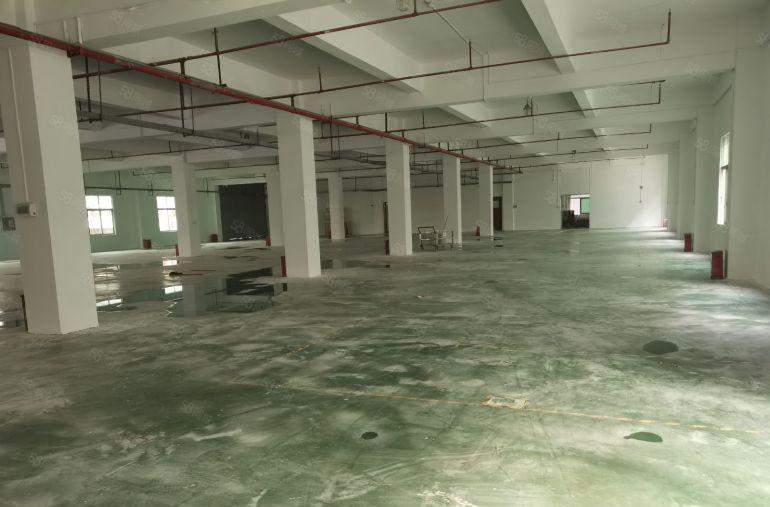 坂田地铁站附近8000平独院厂房出租报价26元有红本可分租