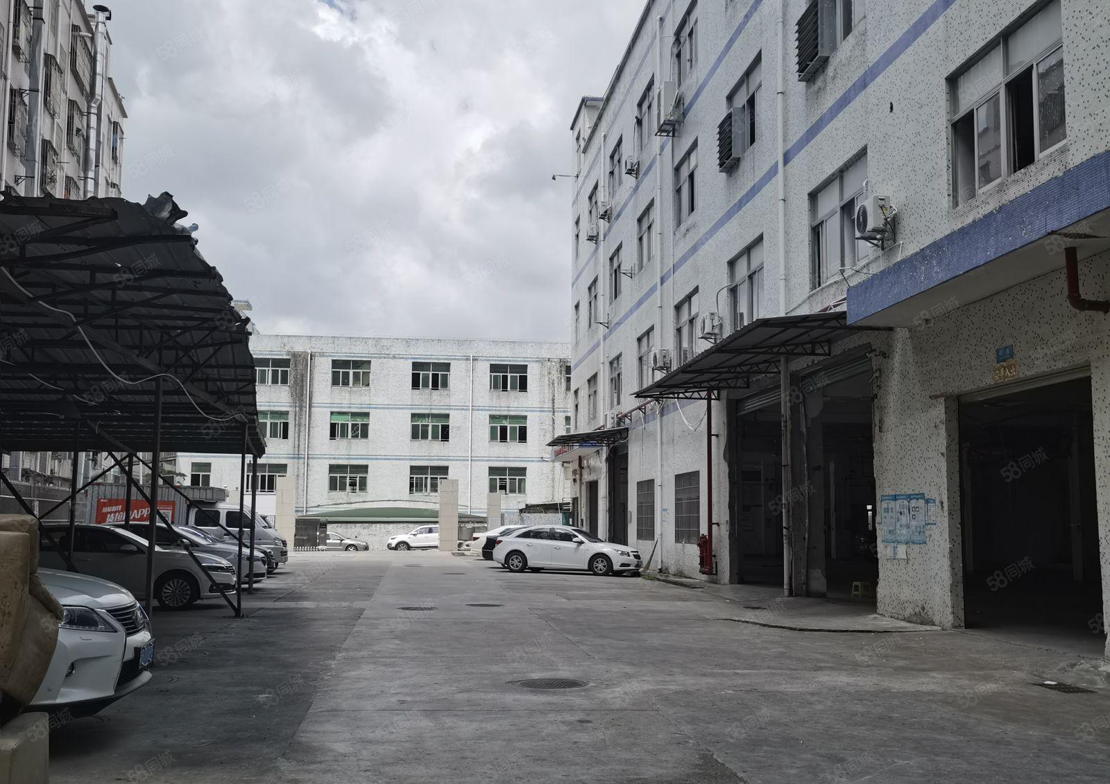 横岗高速出口一楼1300平方，二楼700平方