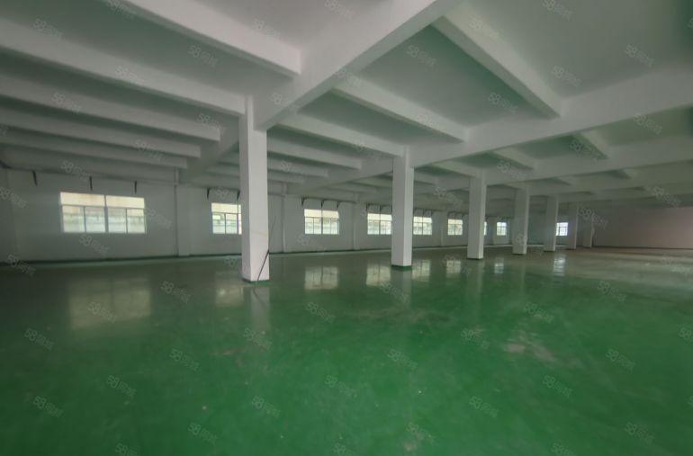 龙岗坂田2000平方标准厂房1000平方可分租