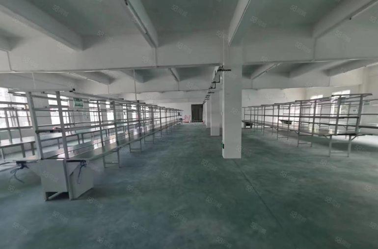 横岗荷坳1300平带现成流水线装修厂房面积
