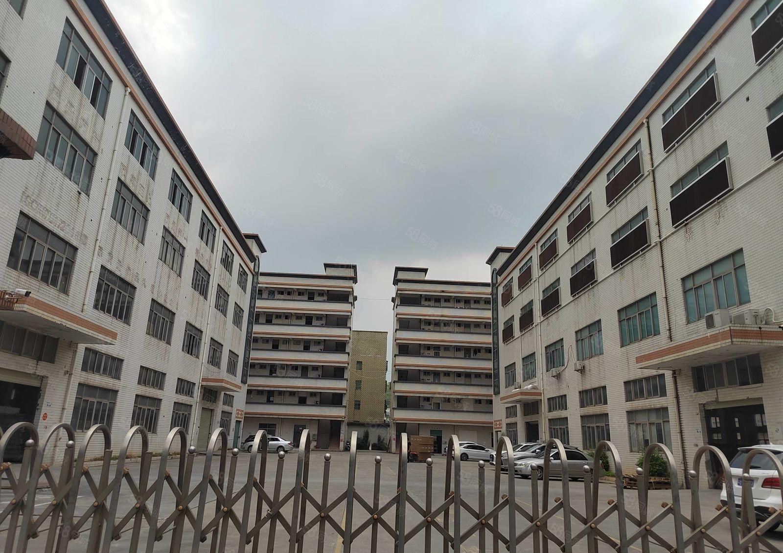 横岗六约龙岗大道边新出楼上精装修厂房1000平方出租