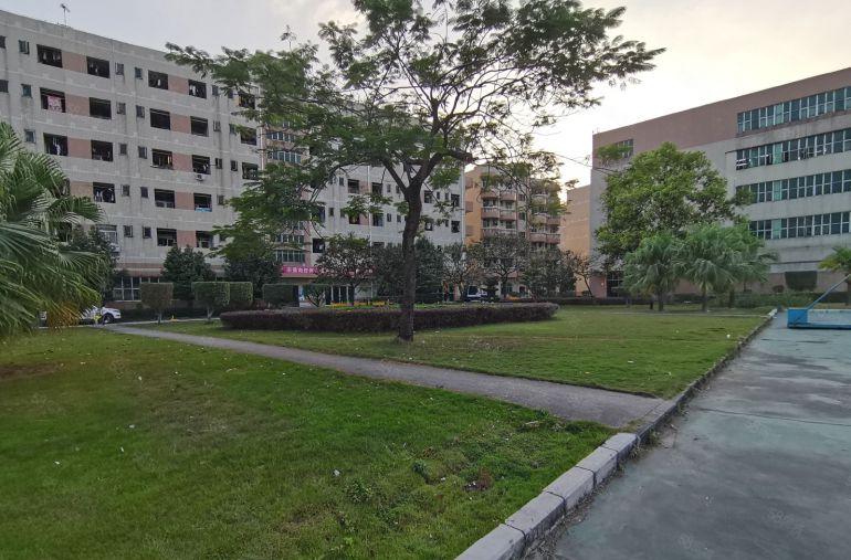 永湖地铁站原房东一楼3000平办公厂房仓库出租100平起租