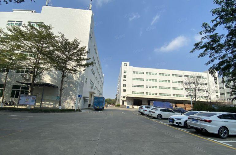 带红本村委厂房横岗主干道边新出1500平精装办公仓库厂房出租