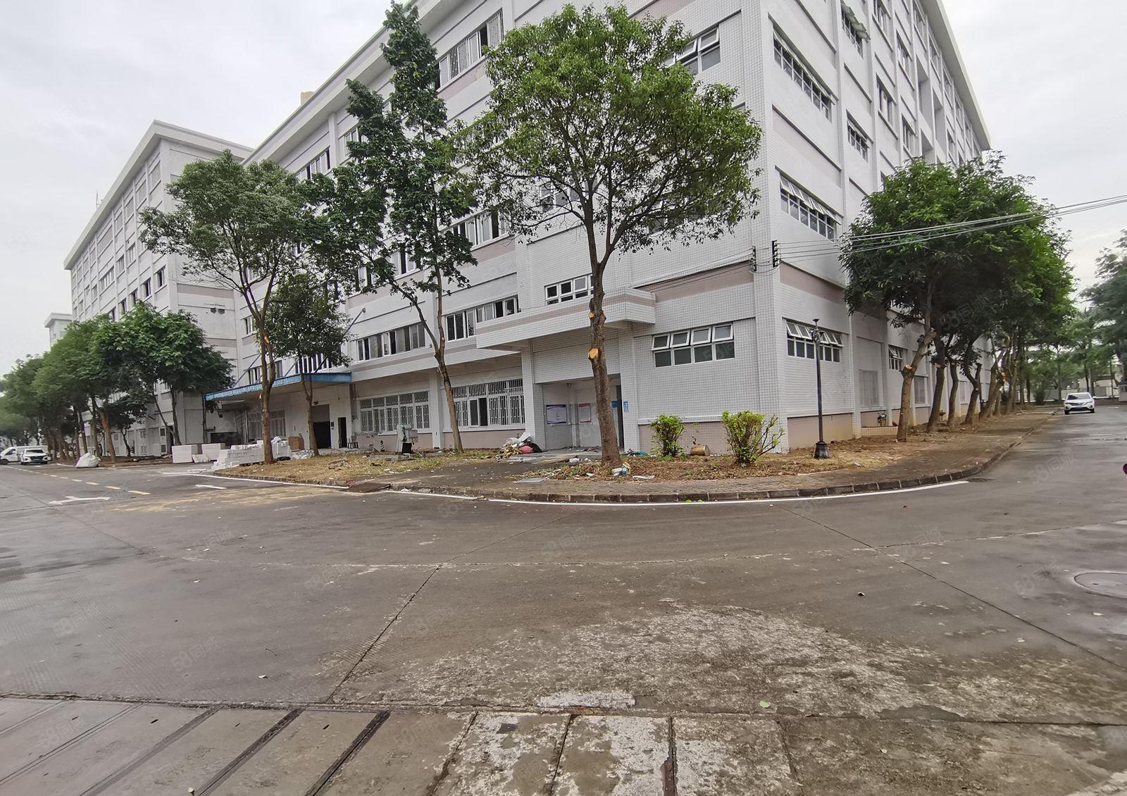 200平起租坂田大型工业园精装修电商办公室仓库厂房出租可分租