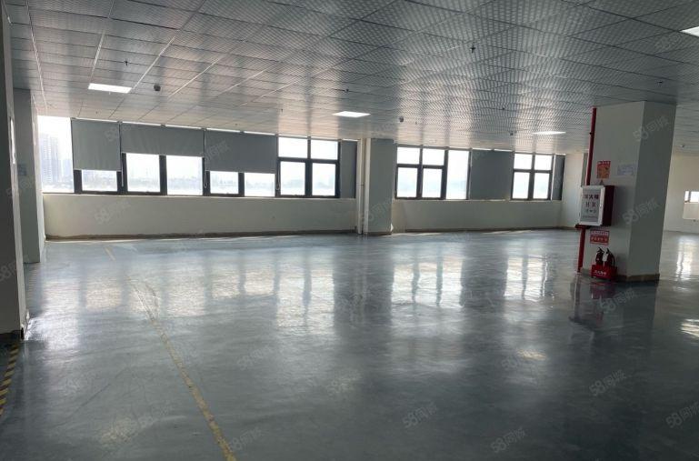 坂田北科技园新出楼上1000平现成装修办公室仓库厂房出租