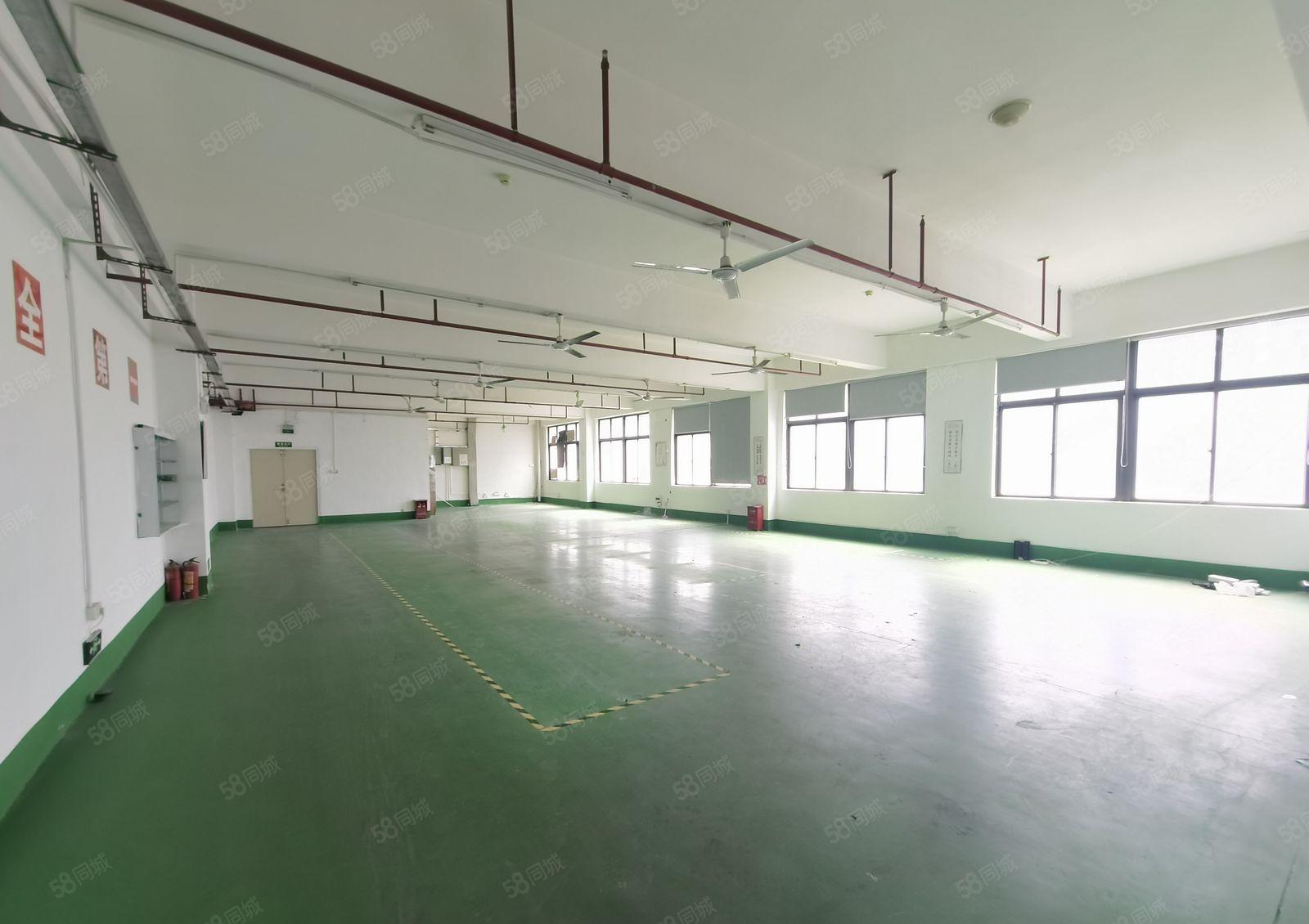 上雪科技园200平至1500平厂房仓库可以分租带货梯