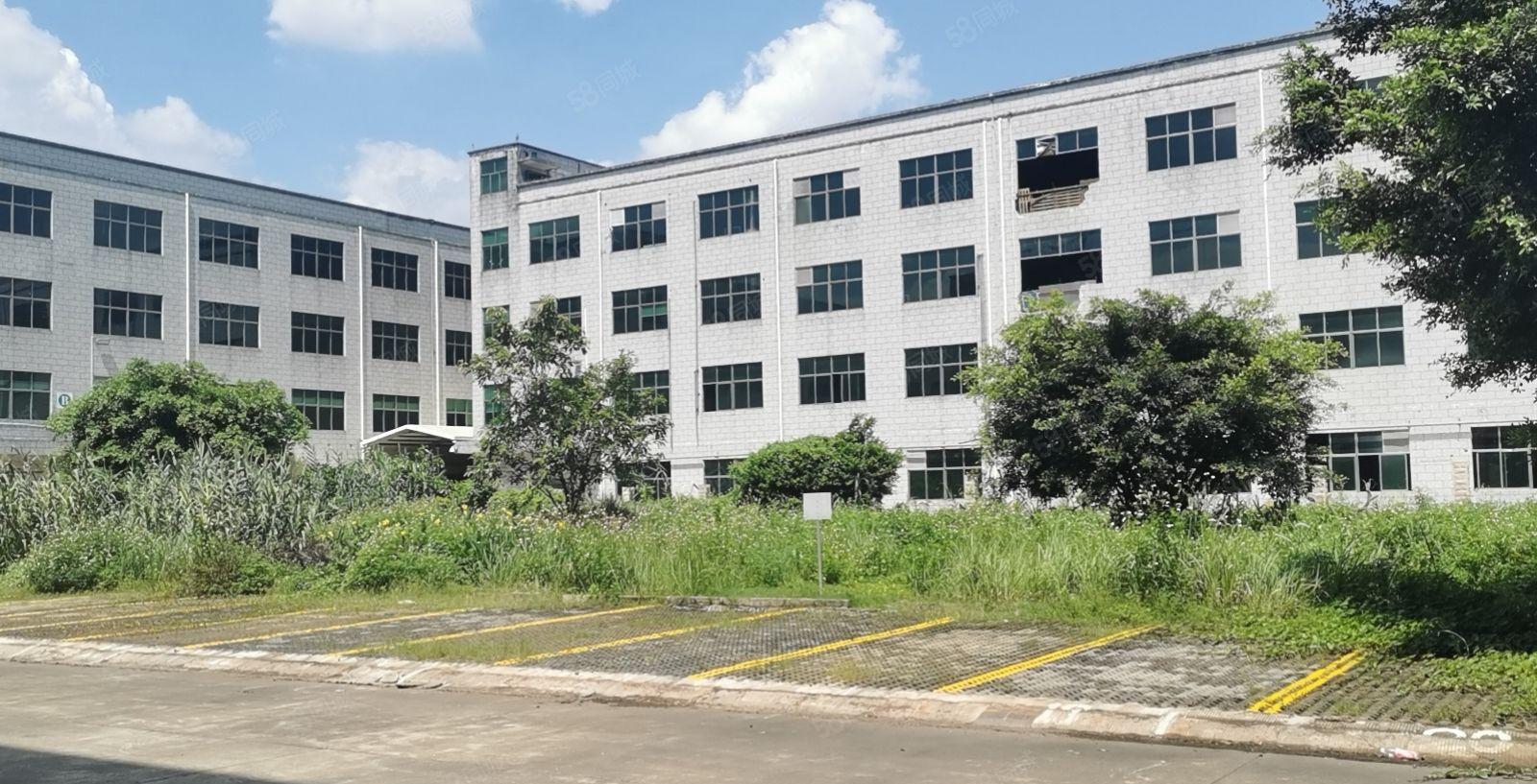 宝龙原房东独院原房东红本60000平厂房仓库出租可整租可分租