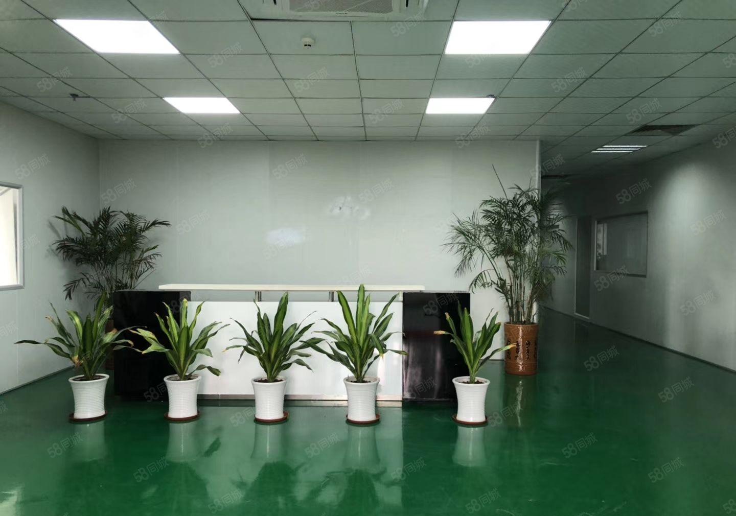 平湖华南城地铁站口新出二楼1000平方带装修厂房招租