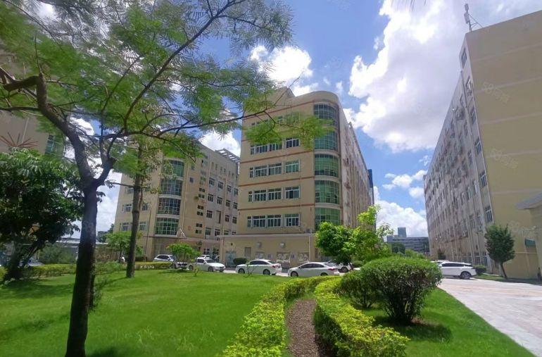 龙岗宝龙原房东楼上1000平方带精装修办公室厂房仓库出租