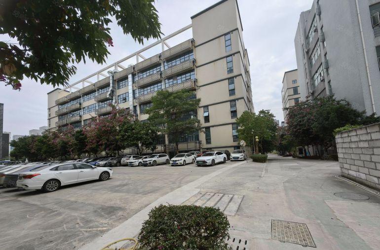 龙岗坪地六联村原房东红本厂房出租适应多种行业交通方便