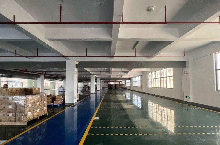 平湖100平起！新出楼上带厂房仓库办公低价出租空地大可分租