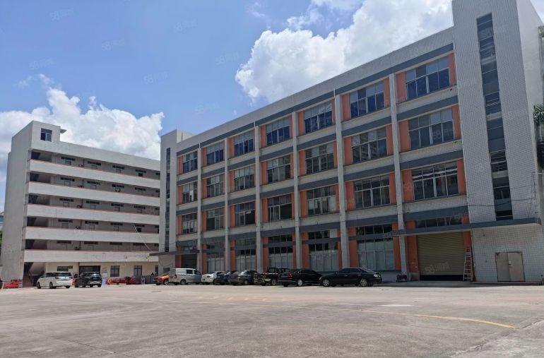 龙岗坪地低碳城附近工业楼上写字楼大小分租