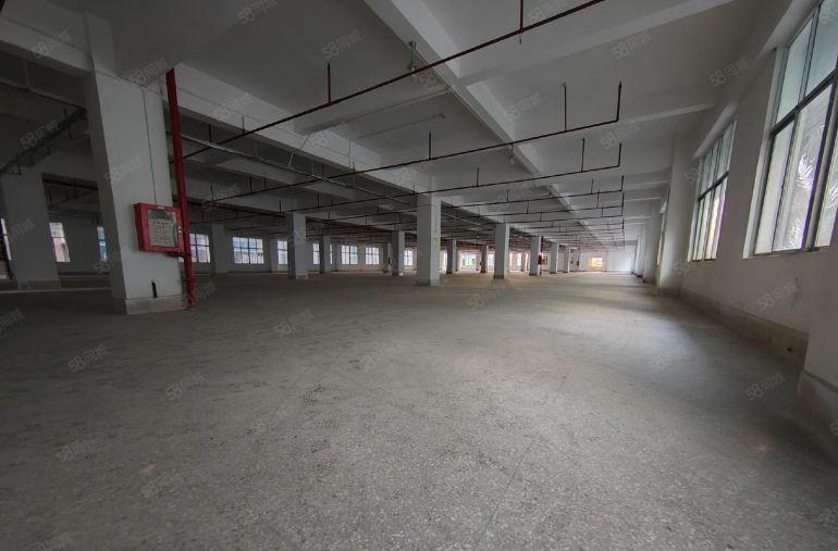 南坑楼上2000平标准厂房出租，带现成精装，500起分。