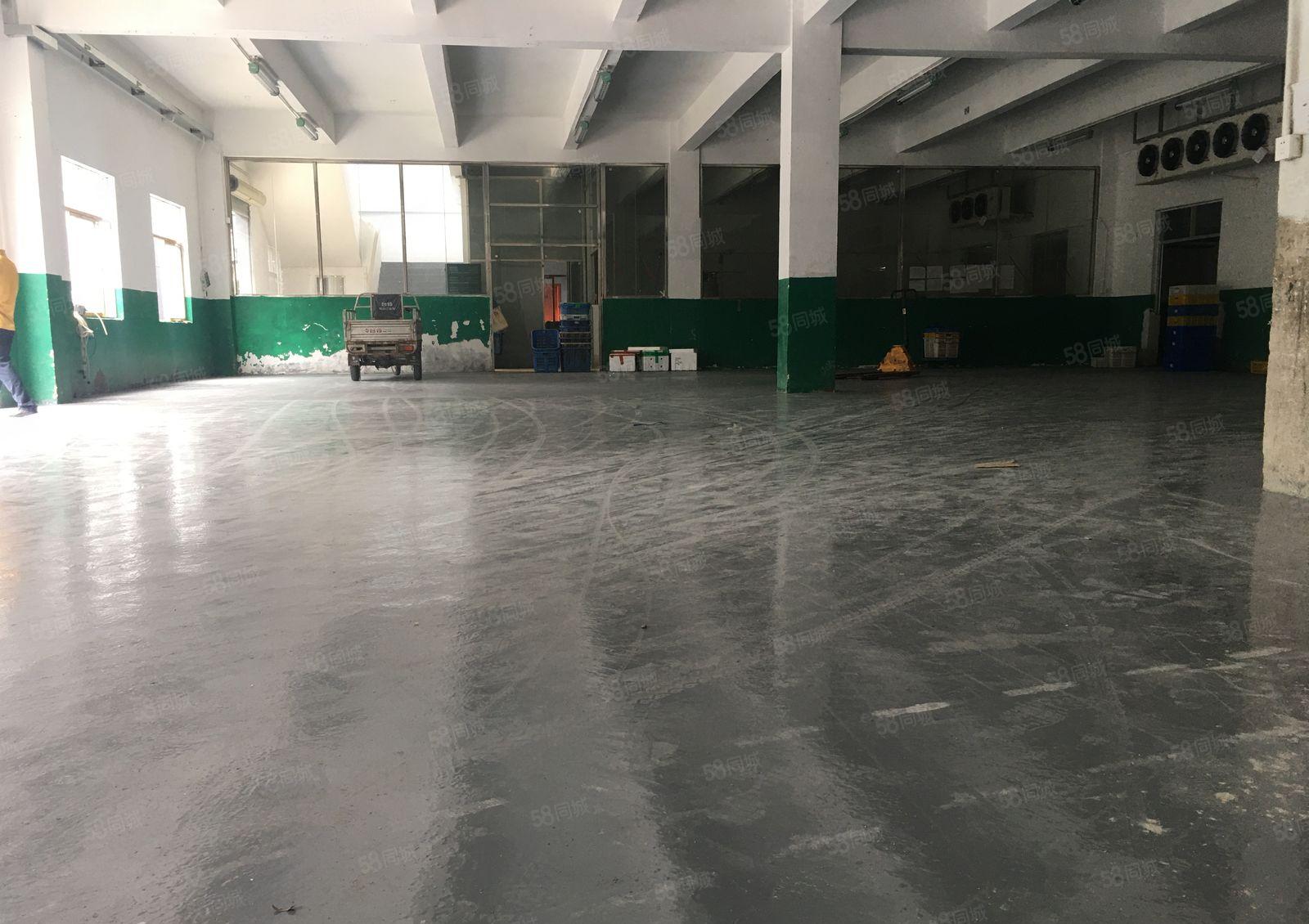 平湖海吉星农批市场旁1百2百5百8百冷藏冻库仓库厂房出租分租