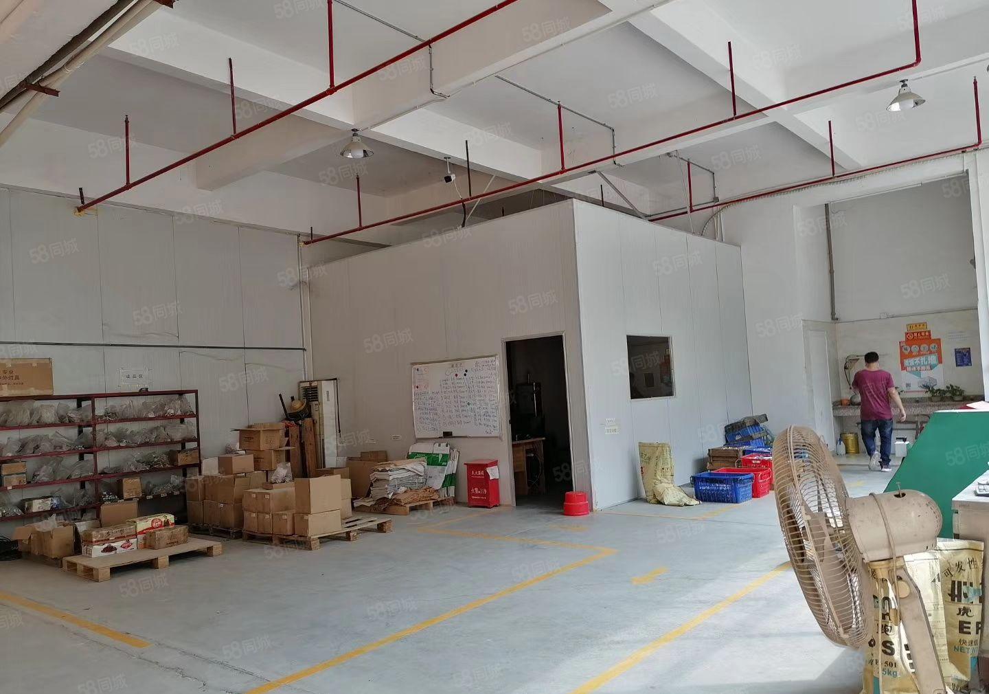 S龙岗独院厂房5000平方可以分租