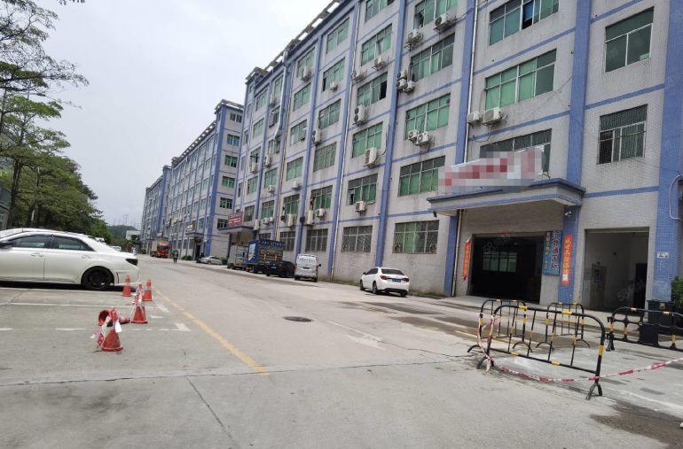 特价！坂田电商工业园厂房仓库出租1500平!带装修