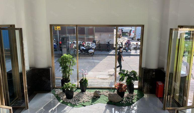 特价35块！岗头300平全新精装修办公厂房出租50平起分