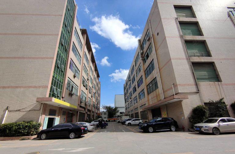 平湖独院新出一楼1500平厂房仓库出租可分租空地大交通方便