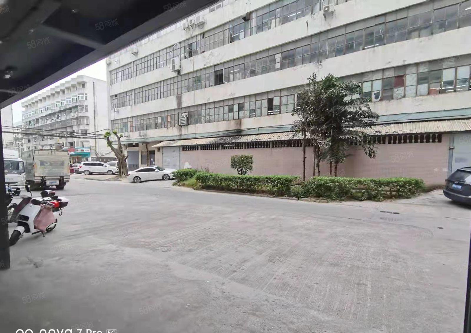 龙岗布吉坂田一楼1000平标准厂房出租