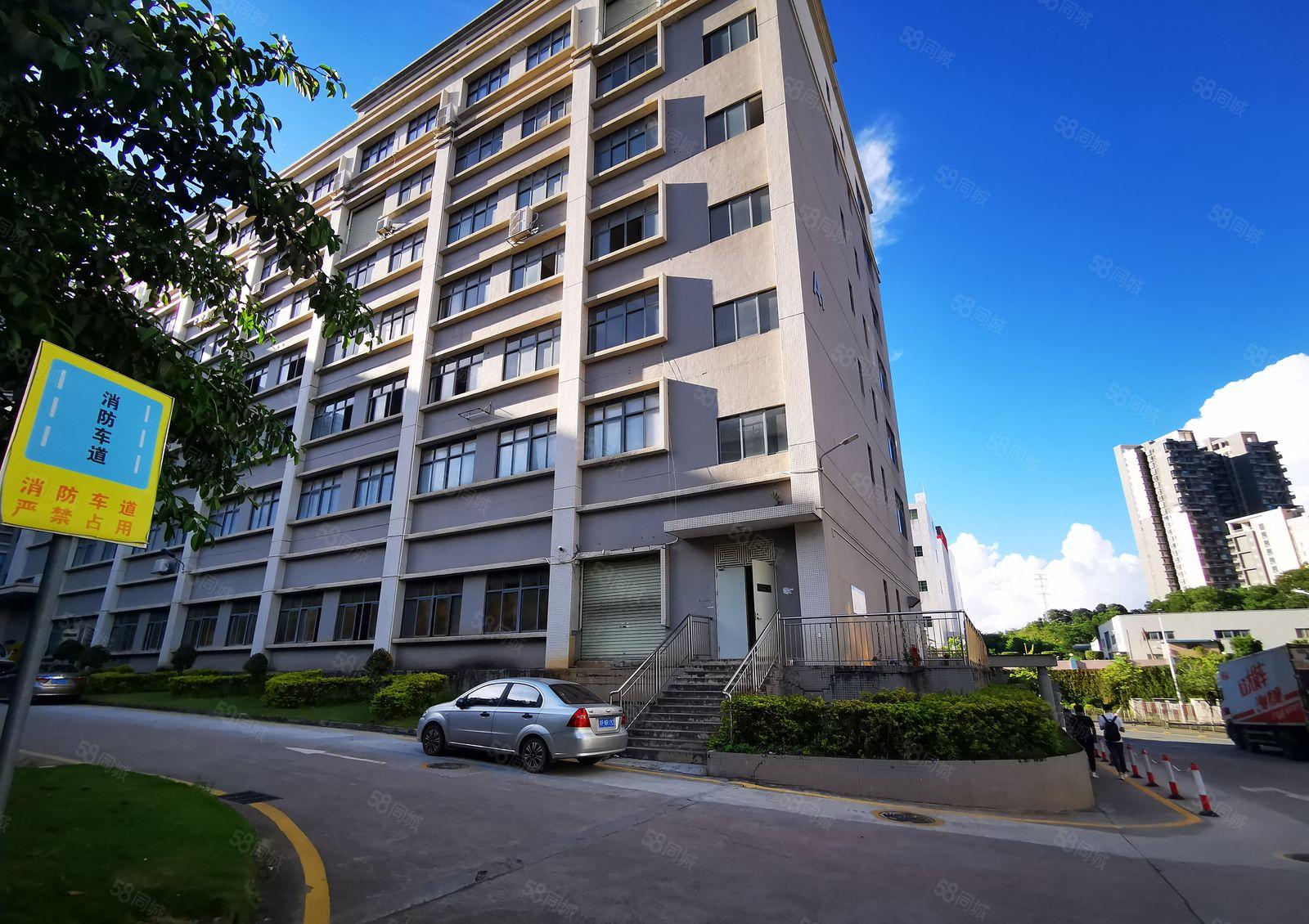 26元清盘价！坂田岗头200平起分，办公室厂房仓库低价出租