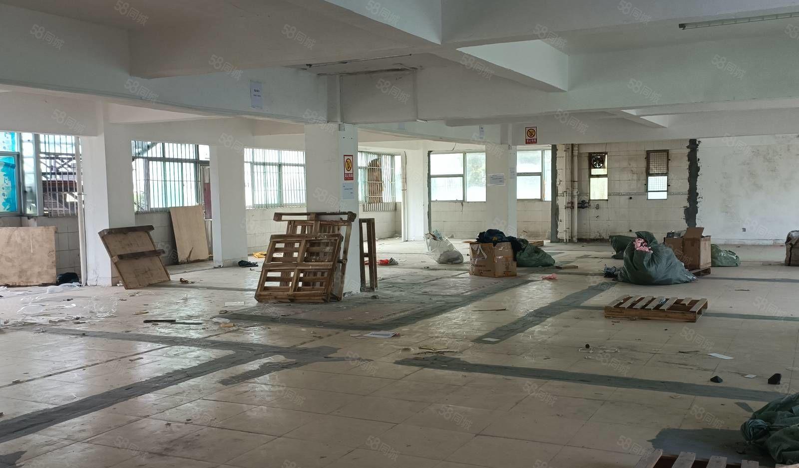 龙岗新生楼上 680平米 带客梯和货梯 低价出租