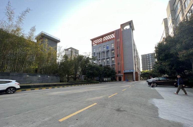 坂田布吉红本厂房全新园区新出3000平米带3台货梯低价出租