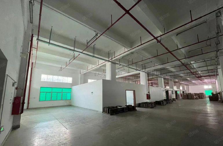 超大空地杨美2000平一楼标准厂房200平起分适合物流仓库