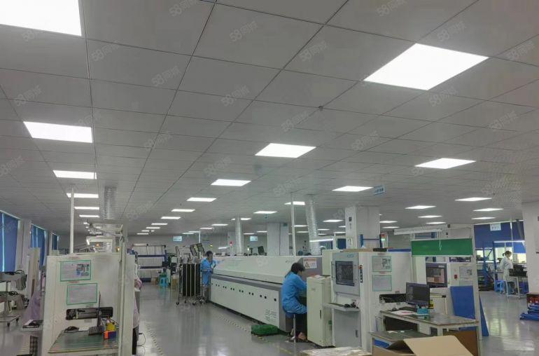 同乐工业区原房东红本独门独院厂房仓库8000平带装修大小可分