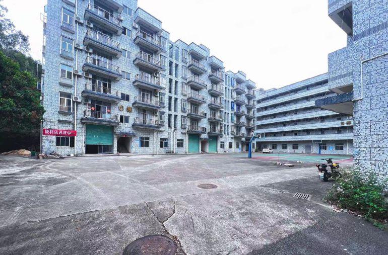 龙岗同乐原房东红本厂房招租15千平米