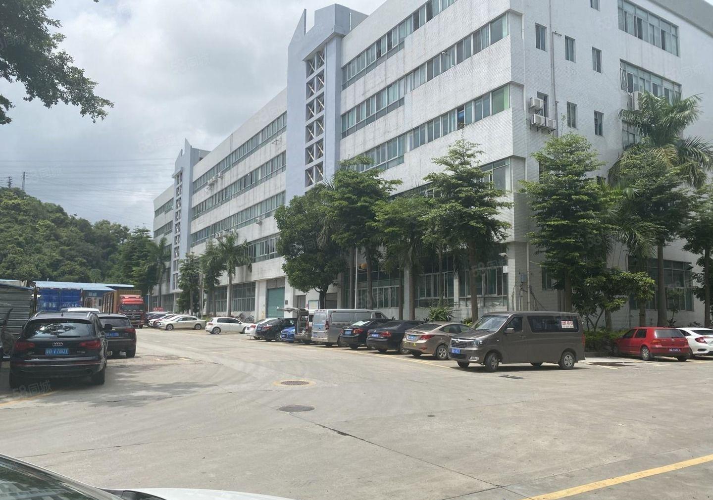 坂田杨美工业园1万平厂房出租300平起分租精装修一楼仓库物流