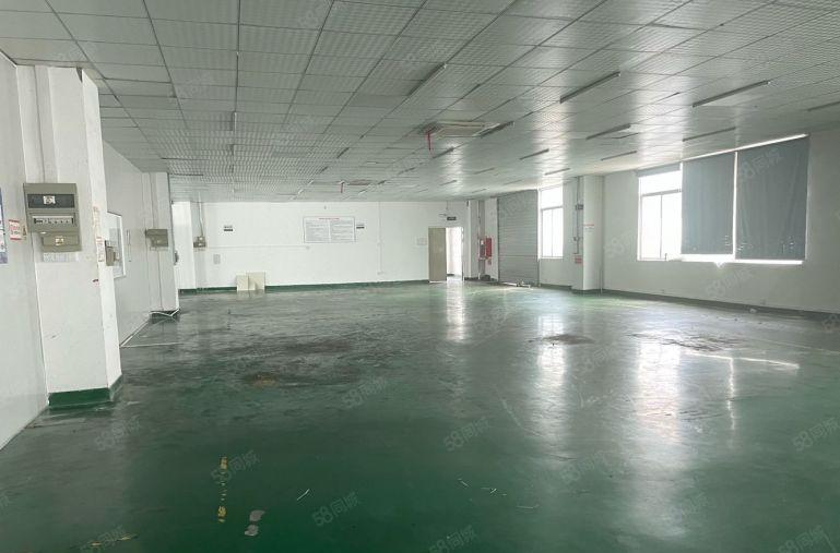 龙岗中心城地铁口楼上1000平精装修厂房仓库出租可分租低价