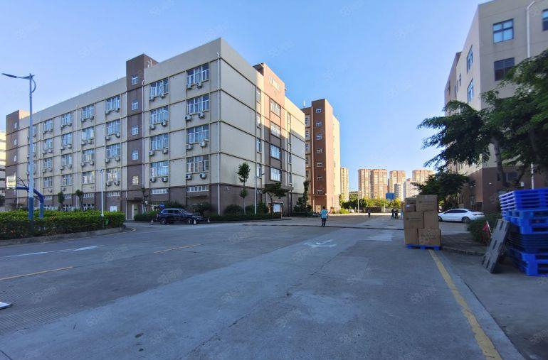 坪地高桥原房东科技园1000平方带精装修办公仓库厂房低价出租