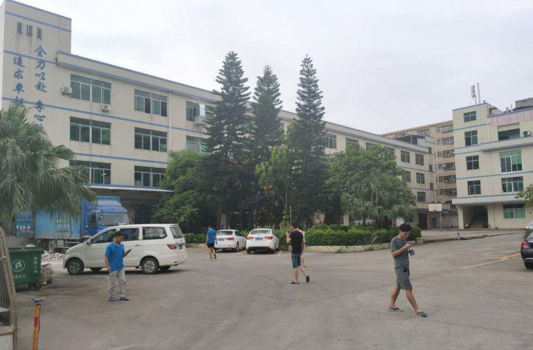 横岗新出1000平至5000平一二楼厂房仓库出租独院大小分租