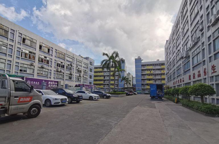 坂田上雪科技园精装修500平1000平2000平厂房仓库出租