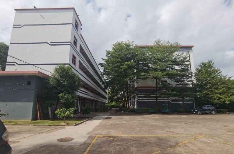 龙岗同乐红本独院厂房8000平方 空地超大合同8年可分租