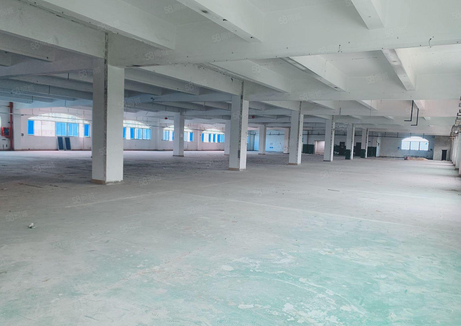 龙岗龙西盐龙大道边10000平米1000平起分租一楼和楼上