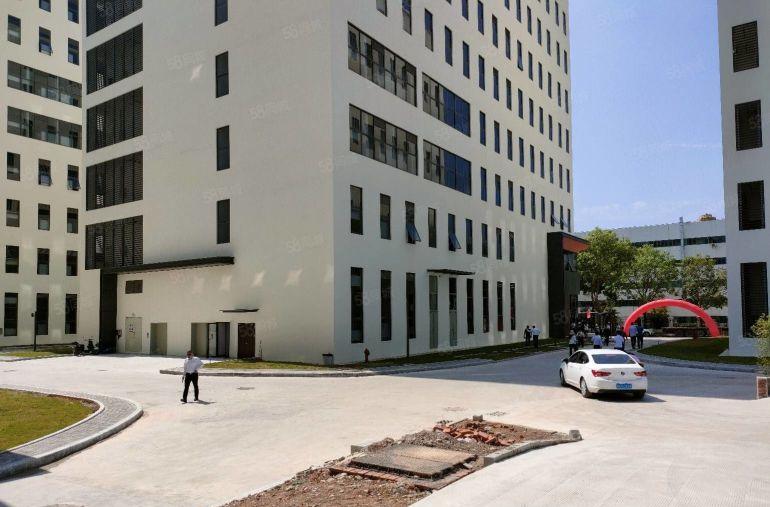 坂田带装修2000平厂房出租 可分租 工业园低价仓库招租