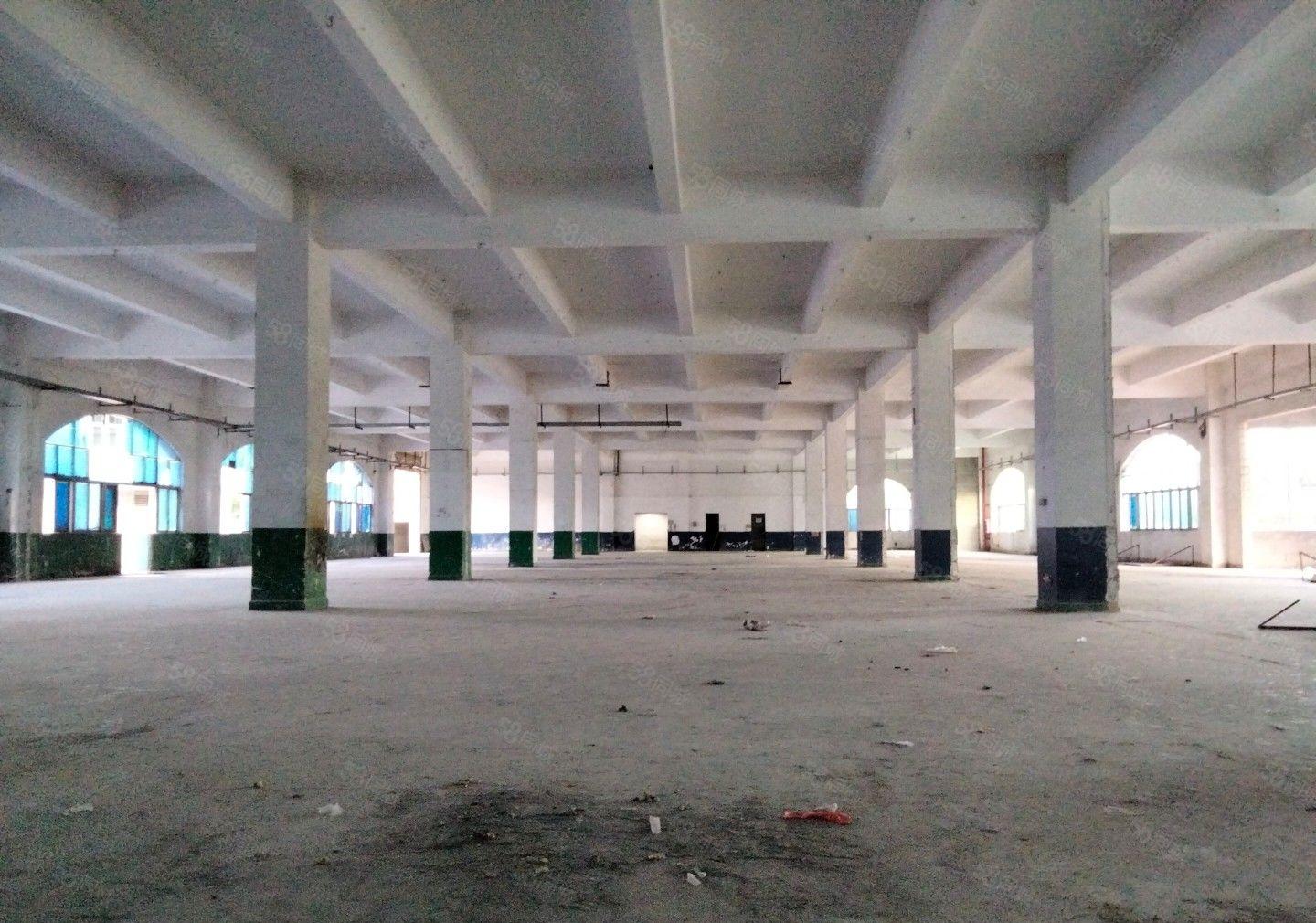 （出租）龙岗中心城原房东独门独院精装修红本厂房大小分租