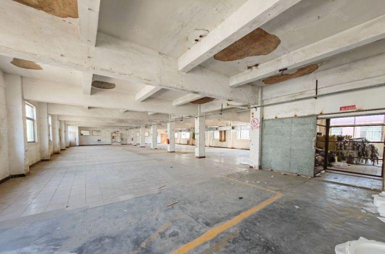 同乐工业园一楼层高5.2米可挂行实在面积800出租合同6年