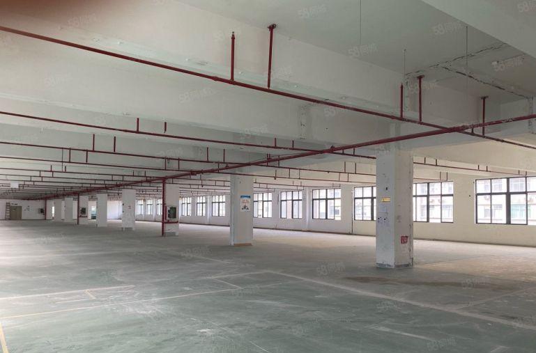 平湖华南城工业园厂房出租2000平分租20元起带5吨货梯