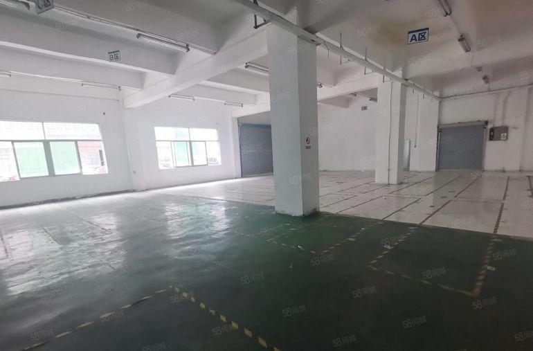 19元起租龙岗中心城工业园一楼二楼1200平厂房出租可分租