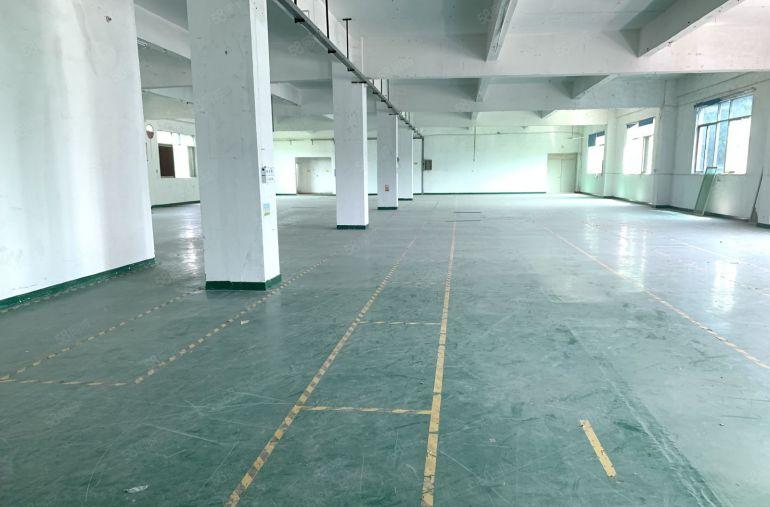 龙岗中心城龙城大道附近楼上300平厂房出租墙已隔好水电到车间