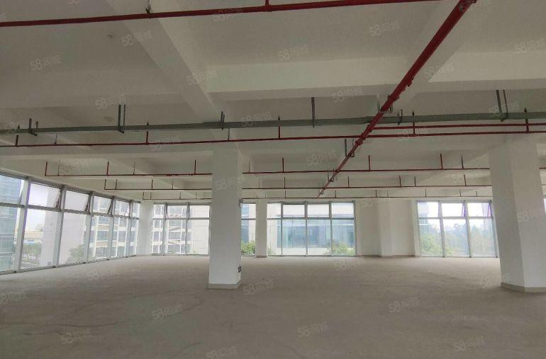 一手开发商 坂田地铁口2400平小独栋出租免租期2个月起