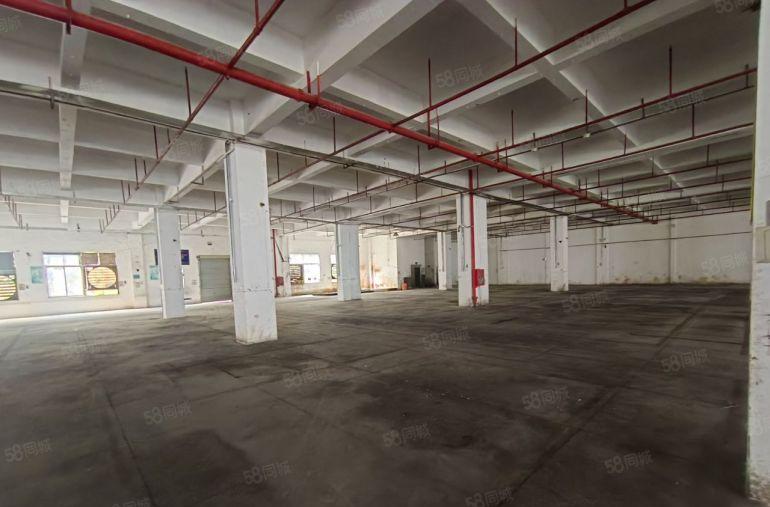 同乐厂房出租一楼仓库独门独院深圳物流园卸货平台分租超大空地