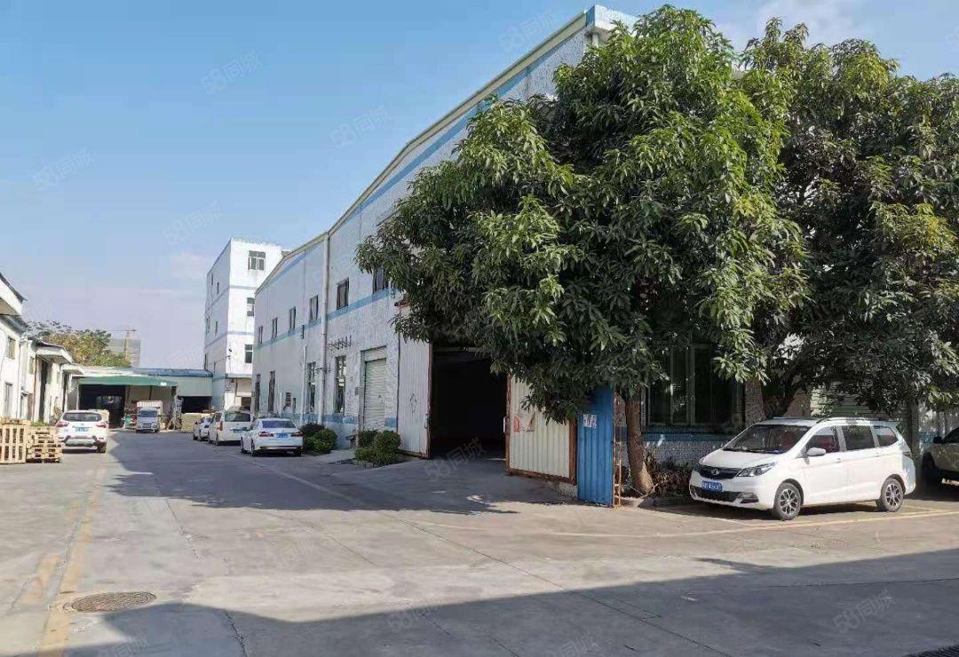 坪地坪西一楼分租500平米厂房出租总面积2000平米